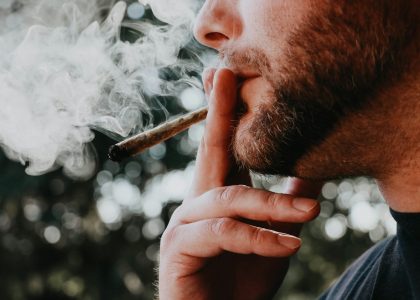 Massachusetts Cannabis Cafes