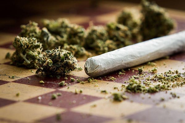 Massachusetts cannabis social consumption lounge concept