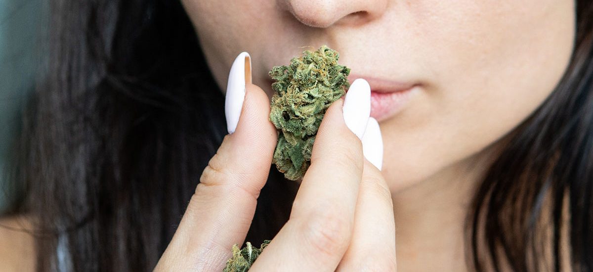 Top-selling cannabis strains in Massachusetts 2025