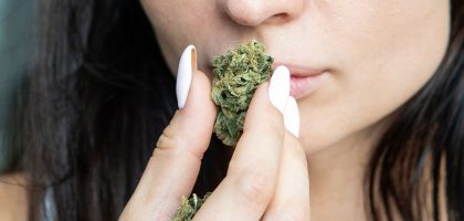 Top-selling cannabis strains in Massachusetts 2025