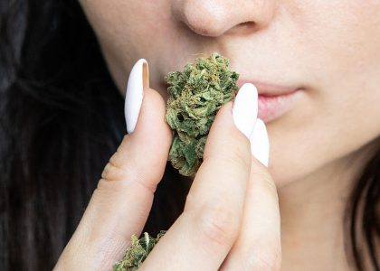 Top-selling cannabis strains in Massachusetts 2025